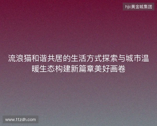 流浪猫和谐共居的生活方式探索与城市温暖生态构建新篇章美好画卷
